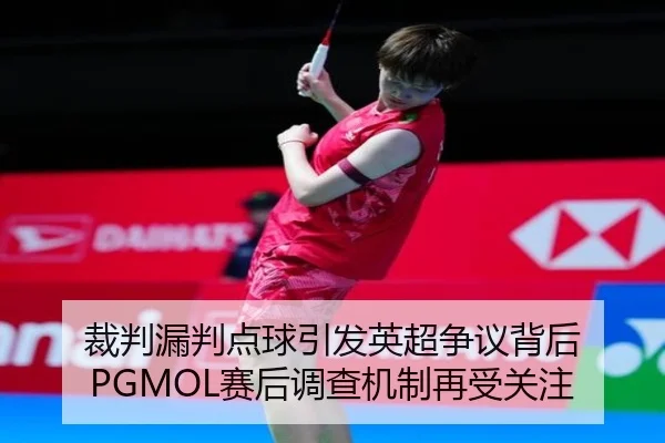 裁判漏判点球引发英超争议背后 PGMOL赛后调查机制再受关注